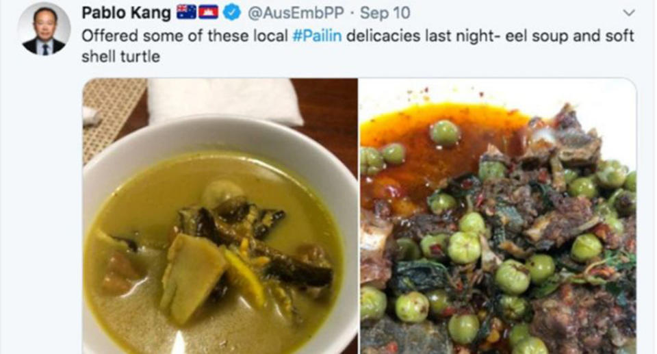 A screenshot of the Australian Ambassador's tweet, showing the softshell turtle served in a dish.