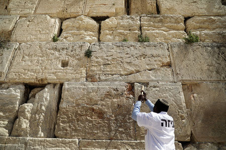 A man uses a stick to clear notes placed in the cracks of the Western Wall, Judaism's holiest prayer site, to create space for new notes ahead of the Jewish holiday of Passover, in Jerusalem's Old City, March 20, 2018. REUTERS/Ammar Awad