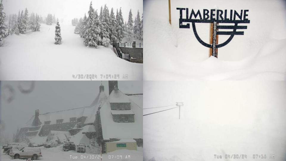 All images pulled from Timberline Lodge Webcams at ~7:15AM PT: Pucci (Top Left), Snow Stake (Top Right), Lodge (Bottom Left), Palmer (Bottom Right)<p><a href="https://www.timberlinelodge.com/conditions#webcams" rel="nofollow noopener" target="_blank" data-ylk="slk:Timberline Lodge;elm:context_link;itc:0;sec:content-canvas" class="link ">Timberline Lodge</a></p>