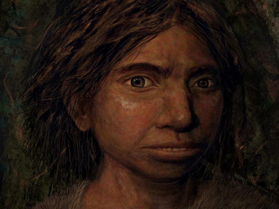 An artist's impression of an early human with brown hair.