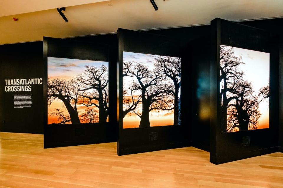 "Transatlantic Crossings" is a large-scale, immersive media experience at the International African American Museum   that take visitors on a journey from African cultural roots, through tragedy of the Middle Passage, and into local and international diaspora scenes and traditions.