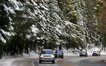 Cars pass by trees laden with snow along Hwy 50 west of South Lake Tahoe, California December 30, 2015. REUTERS/Fred Greaves