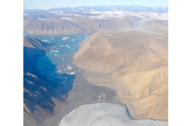 The fossil was unearthed in sediments in northern Greenland known as the Sirius Passet formation. Photo: Jakob Vinther/ University of Bristol.