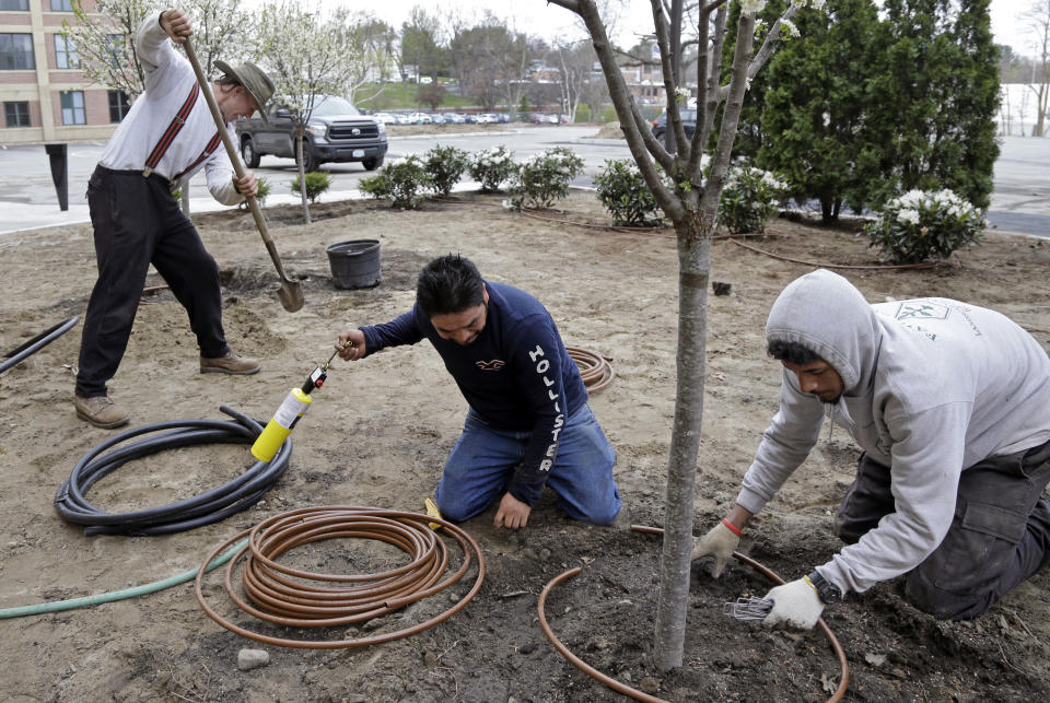 In this April 25, 2017 photo, Stephen Faulkner, far left, owner of Faulkner's Landscaping & Nursery, installs an irrigation system alongside workers Gonsalo Garcia, center, and Jalen Murchison, right, at a landscape project in Manchester, N.H. The Trump Administration is making 30,000 more temporary visas available for seasonal work through the end of September. According to a copy of the rule obtained by The Associated Press, the visas, known as H2-Bs, will go to foreign workers who have held them before over the last three fiscal years for jobs like picking crabs, shucking oysters or seasonal hotel work. They will become available when the temporary rule is published as early as Tuesday. (AP Photo/Elise Amendola)