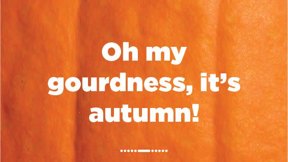 oh my gourdness, it's autumn