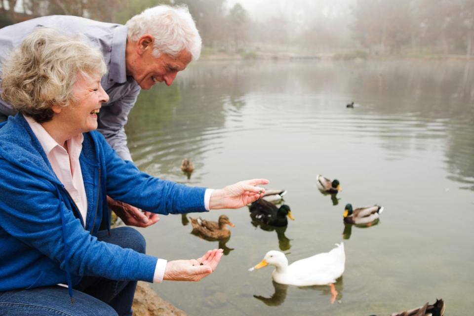 spring activities feed ducks