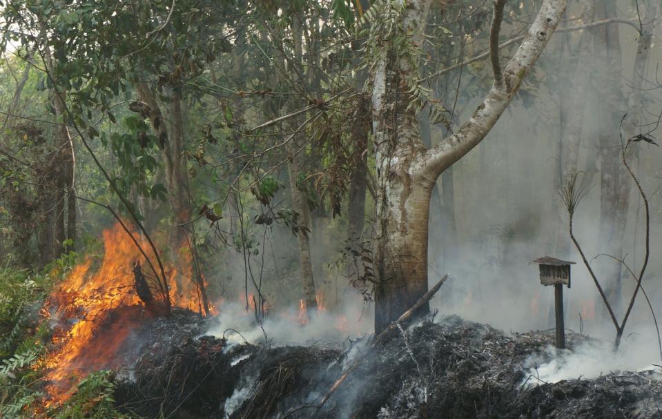 A wildfire blazes in a small rubber tree garden along the border of the Tuanan study area during Indonesia’s 2015 wildfires. Wendy Erb, <a href="http://creativecommons.org/licenses/by-nd/4.0/" rel="nofollow noopener" target="_blank" data-ylk="slk:CC BY-ND;elm:context_link;itc:0;sec:content-canvas" class="link ">CC BY-ND</a>