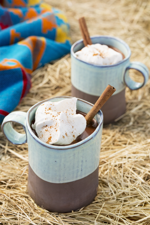 mexican hot chocolate with whipped cream and cinnamon stick in a mug
