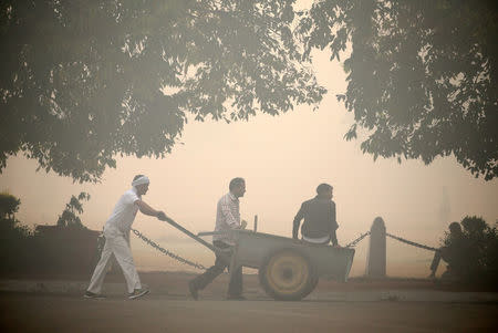 Municipal workers push a cart in a public park on a smoggy morning in New Delhi, India, October 31, 2016. REUTERS/Cathal McNaughton
