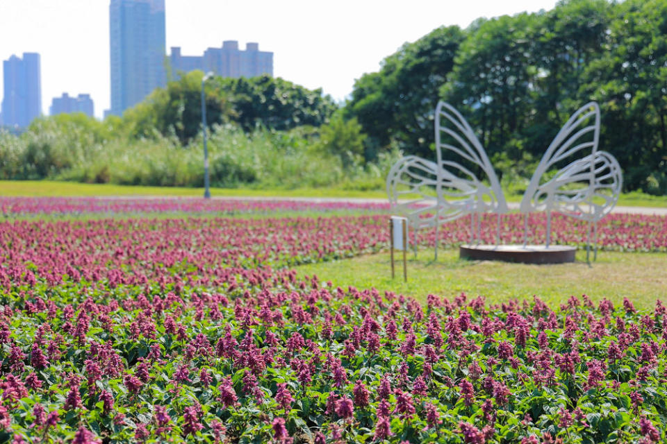 (圖片來源：台北市政府工務局水利工程處)