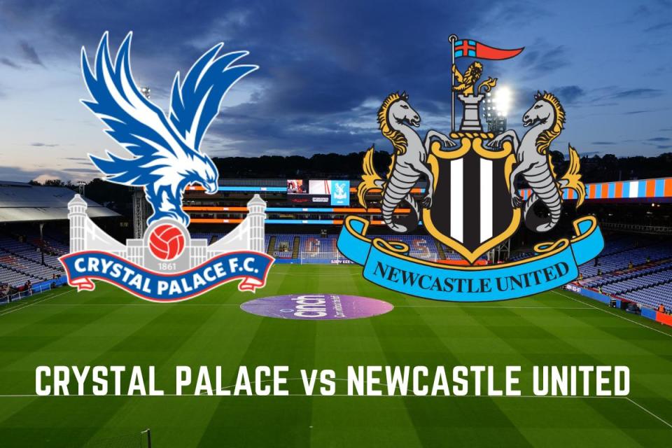 Crystal Palace vs Newcastle United <i>(Image: The Northern Echo)</i>