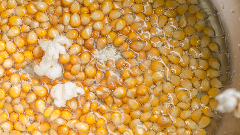 Popcorn kernels cooking in a pot
