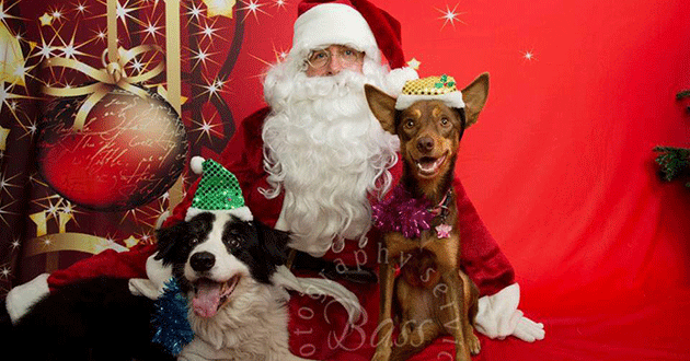 Blaze and sister Temperance met with Santa Clause over Christmas.