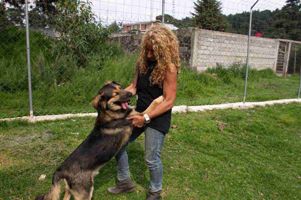 Tehila Catán es rescatista desde hace 32 años. (Foto: Sharenii Guzmán | @shareniiguzman | Animal Político-Animal MX)