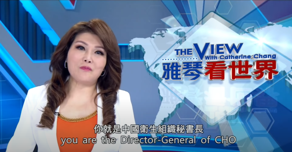 張雅琴怒嗆譚德塞「你就是中國衛生組織的秘書長。」 圖：翻攝自「年代新聞CH50」YouTube