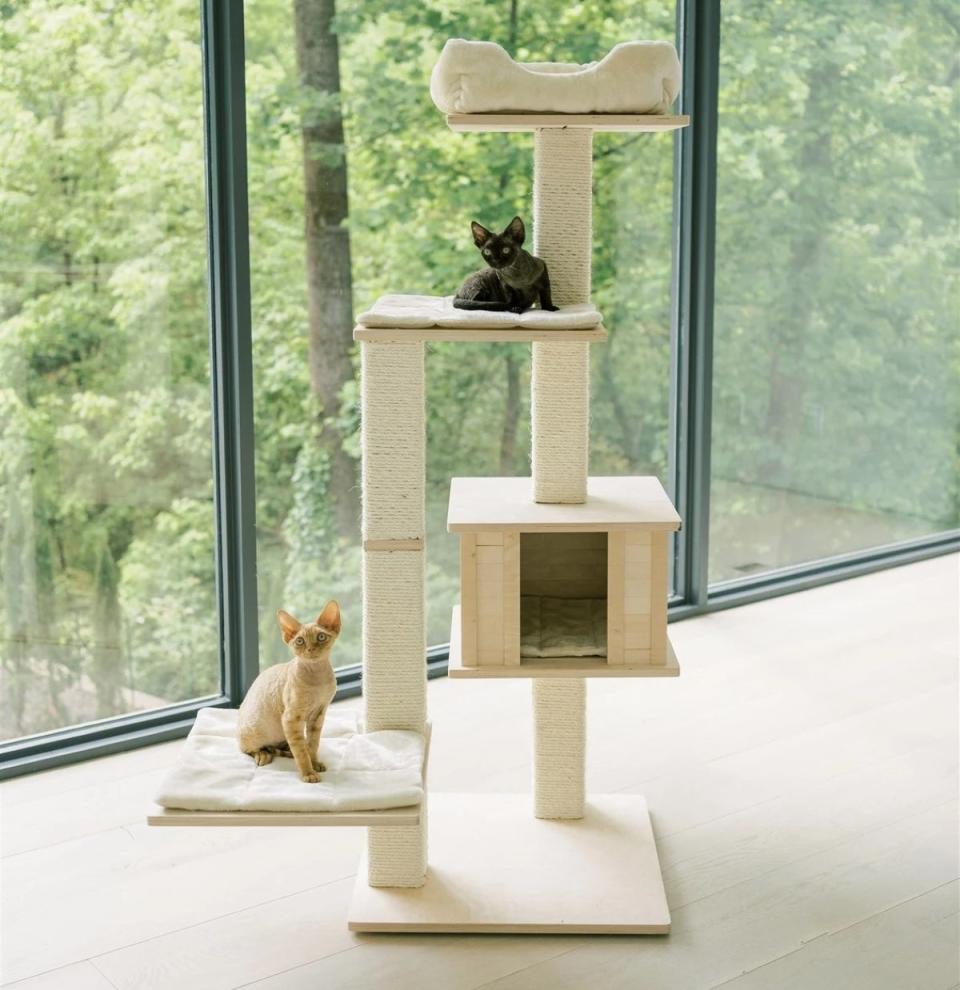 Two cats on a tall, beige cat tree