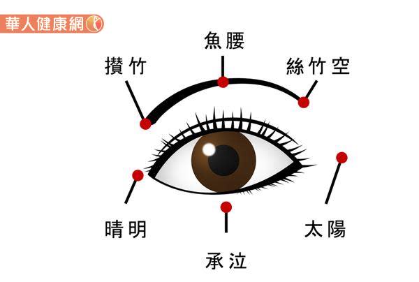 眼周穴位位置參考圖。