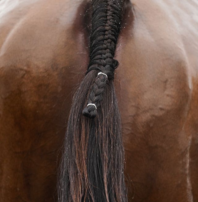 A horse's tail (Alan Crowhurst/PA)