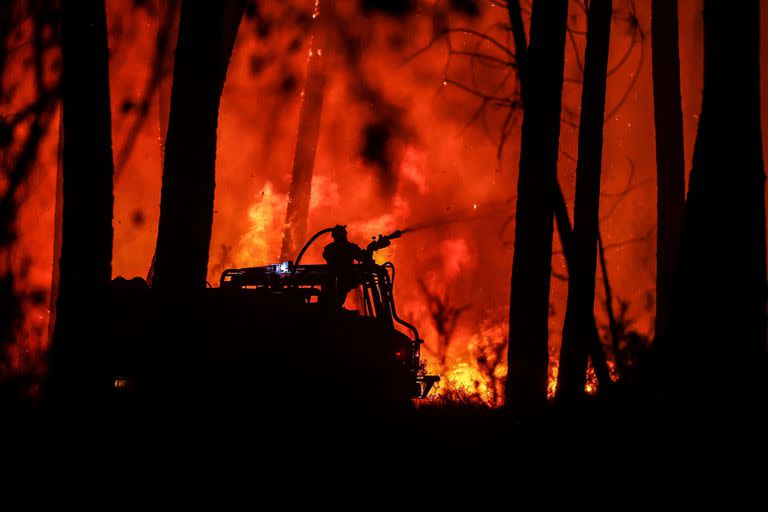 Francia; incendios forestales; Cambio climático; Gironde; Bomberos; Fuego; mundo