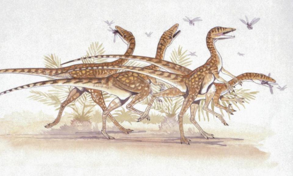 A herd of Saltopuses chasing insects. The new study identifies the Saltopus as the closest thing in the fossil record to what the hypothetical common ancestor might look like