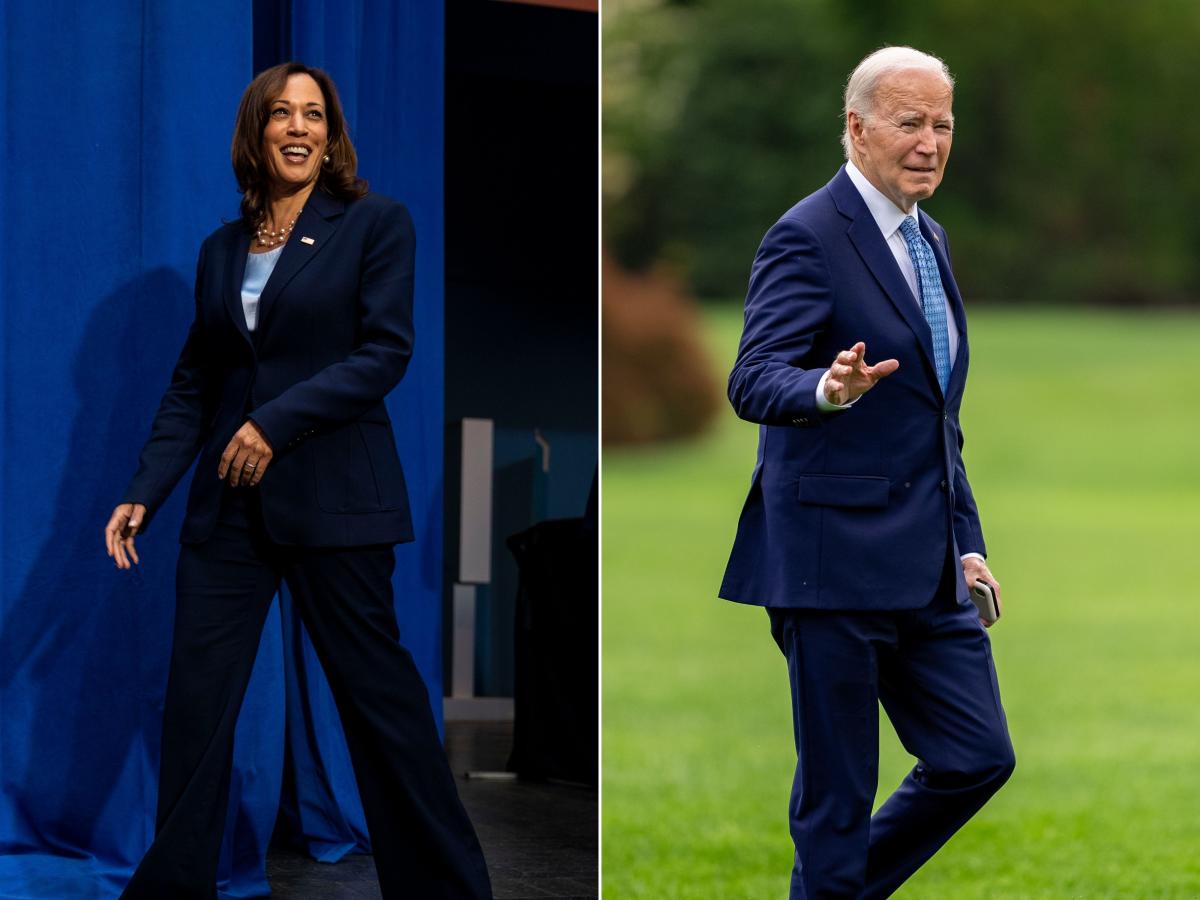 Kamala Harris won’t save Democrats if she replaces Biden, warns historian who correctly predicted 9 of the last 10 elections