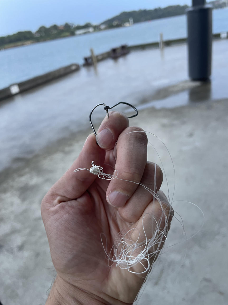 Discarded fish hook and line found on Sydney Harbour. 