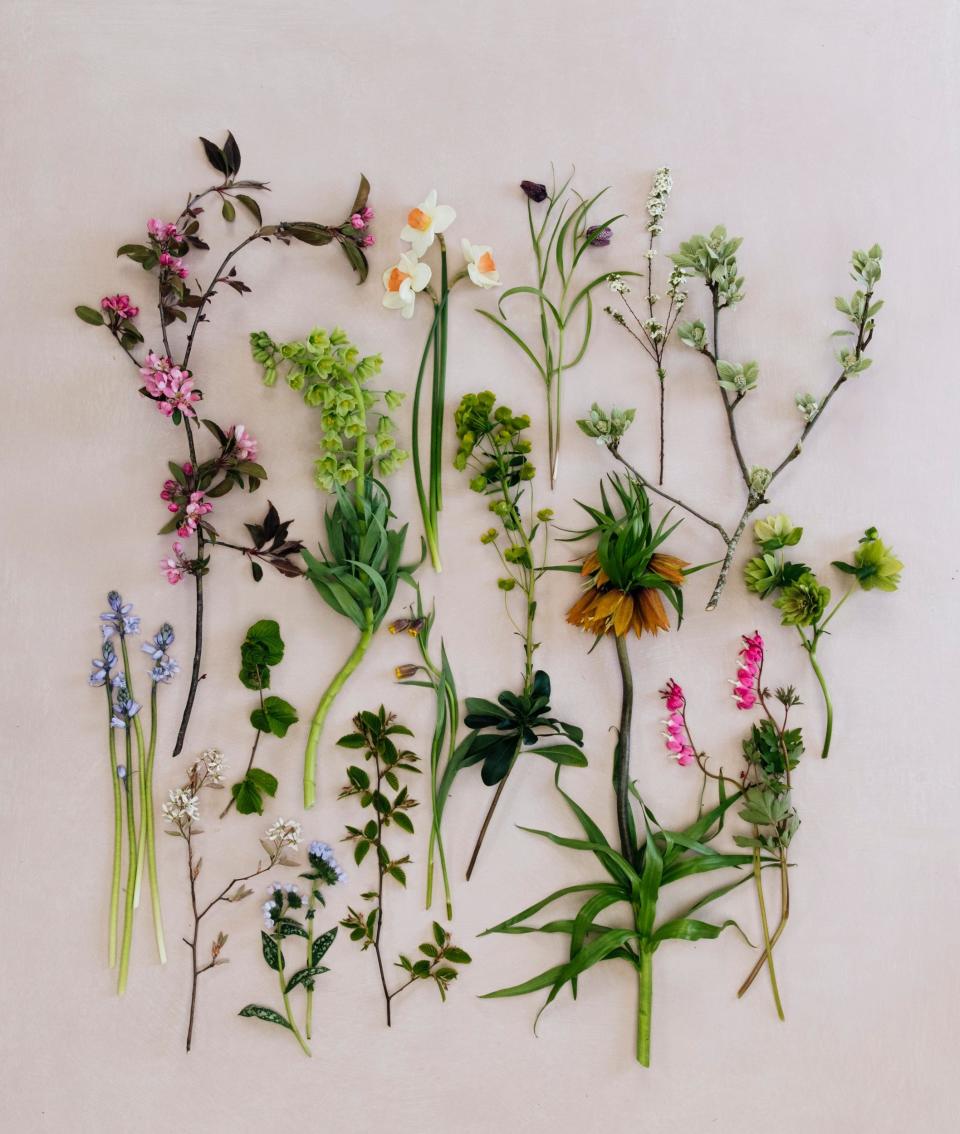  ‘Exquisitely beautiful’: a selection of plants, including Narcissus ‘Bell Song’ and nodding Fritillaria uva-vulpis, picked from Siegfried’s garden in mid spring - Eva Nemeth