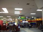 A good shot of the kiosk and food court area in February of this year... look at the roof!