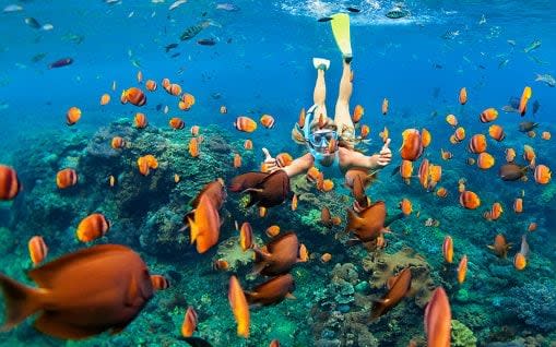 girl snorkelling - Getty