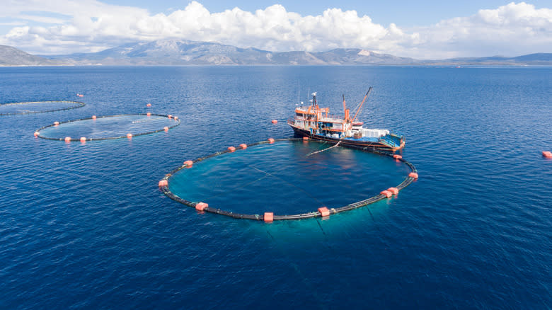 Open sea fish farm and boat