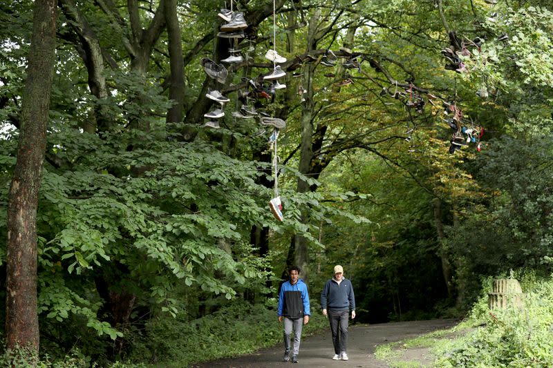 Shoes hang from a sycamore tree popular among students who celebrate the tradition of throwing shoes at trees after receiving their exam results, in Heaton Park in Newcastle