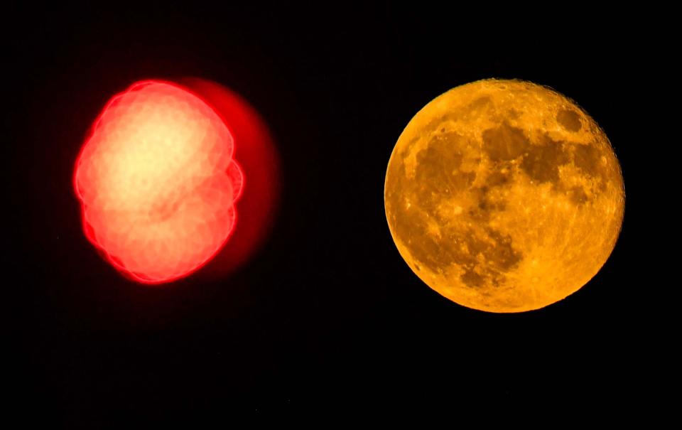 The day after the official Super Blue Moon, the moon rises through the horizon appearing yellow, seen in line with a red traffic signal in Anderson, S.C. Thursday, August 31, 2023. Super Blue Moon is a rare celestial event with the moon appearing closer to the earth and larger size. Particles refract the light so it appears blue and is called a super blue moon.