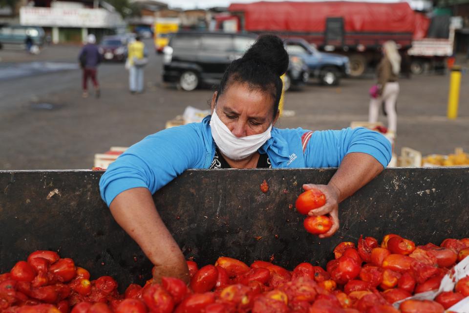 Delia de Centurión, una viuda de 53 años y madre de cinco hijos, escarba en la basura buscando tomates comestibles que fueron descartados en el mercado principal de Asunción, Paraguay, el miércoles 6 de mayo de 2020. (Foto AP/Jorge Sáenz)