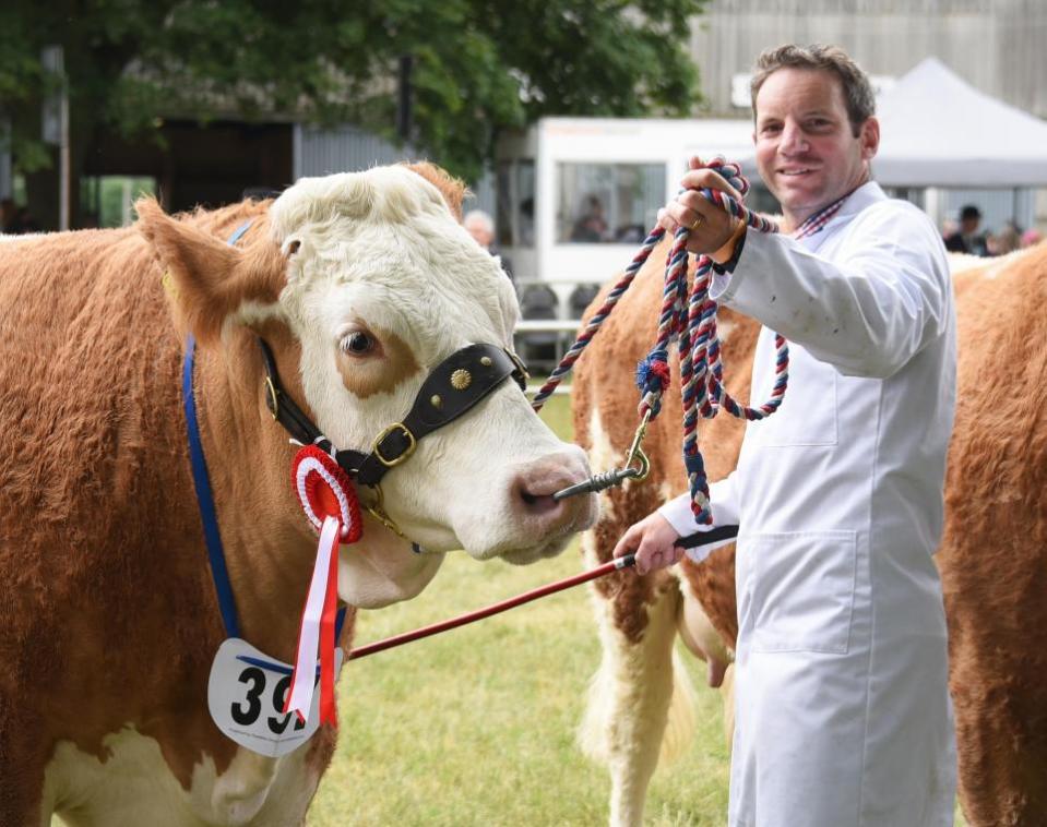 Eastern Daily Press: Sam Steggles with one of his winning Simmental cattle at the 2023 Royal Norfolk Show