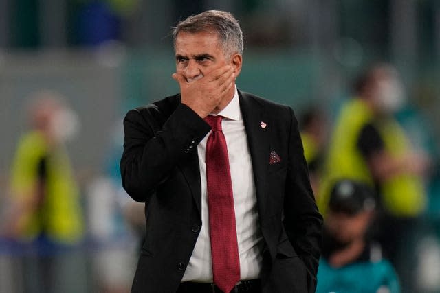 Turkey manager Senol Gunes was left with plenty to ponder