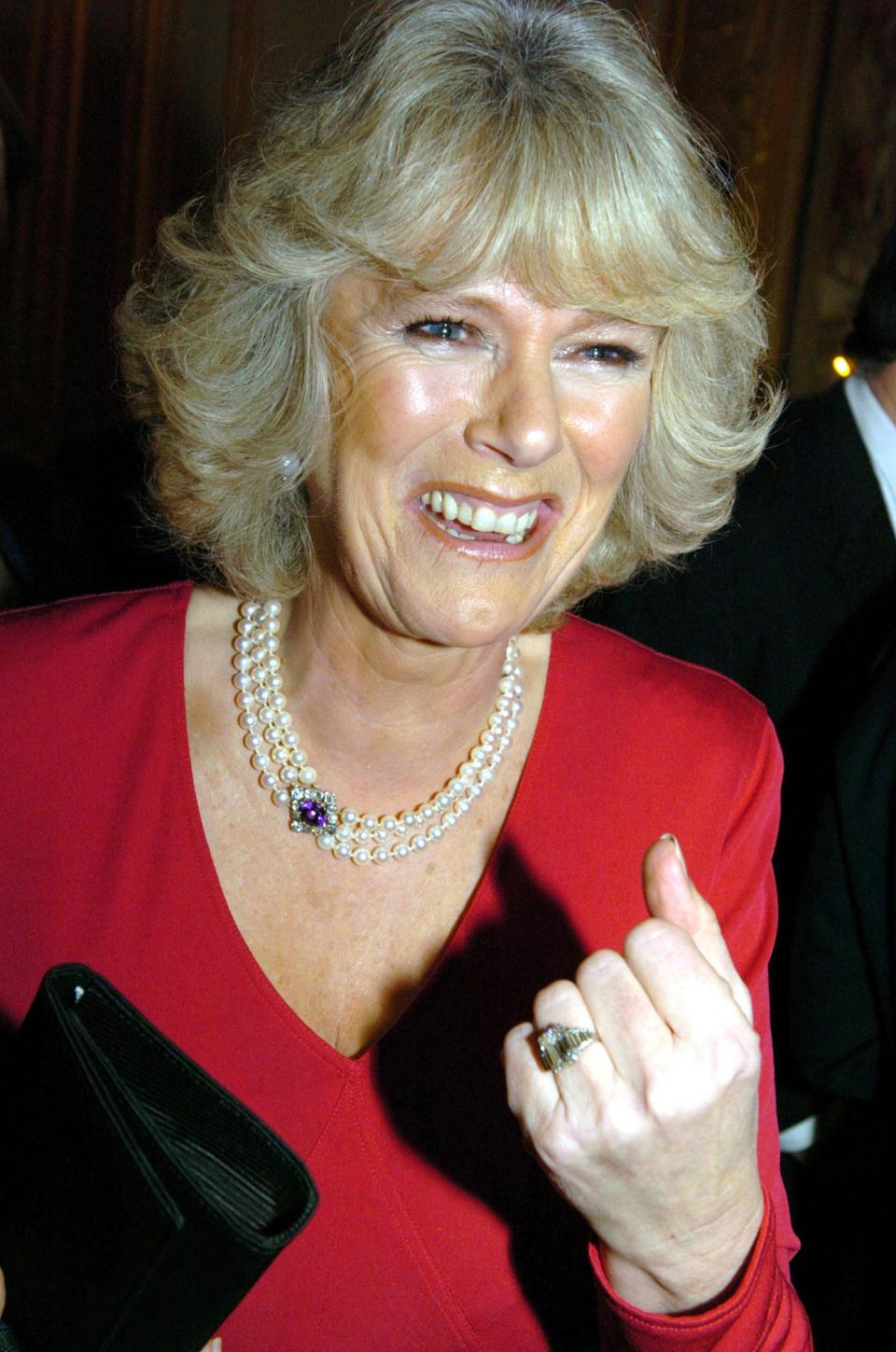 Prince Charles proposed to his longtime love Camilla Parker Bowles with a diamond that once belonged to the Queen Mum. The Art Deco piece is one of the larger engagement rings in the main royal family and is often said to be one of the most valuable.