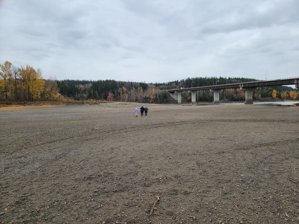 Amidst low water levels, a family walks on the riverbed where water normally flows at the confluence of the Nechako and Fraser rivers near Prince George, B.C. on Wednesday.