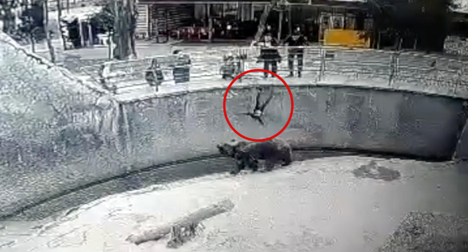 CCTV of the mum dropping the girl into the bear enclosure. 