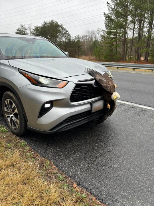 Image courtesy of the Calvert County Sheriff’s Office