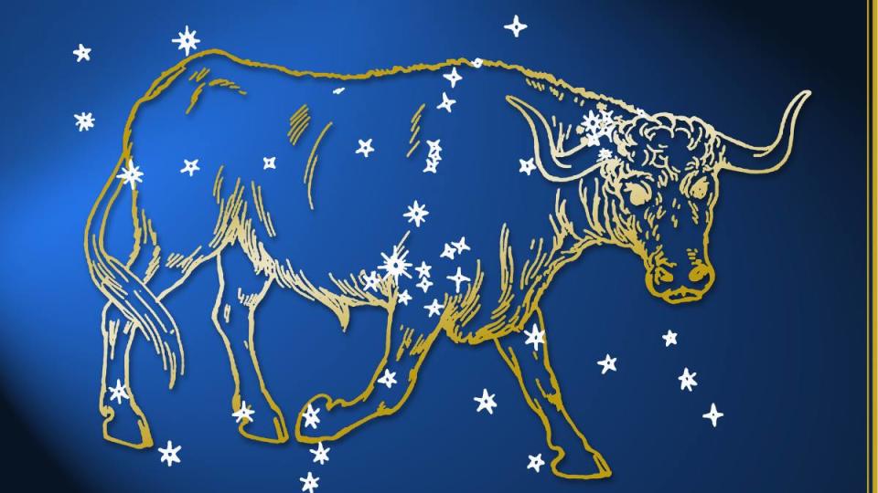 all about Taurus: Taurus astrological sign