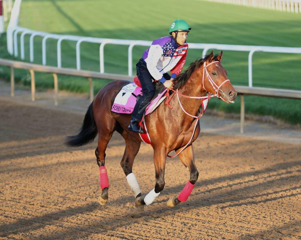 Kentucky Derby hopeful Forever Young works at Churchill Downs on April 14.