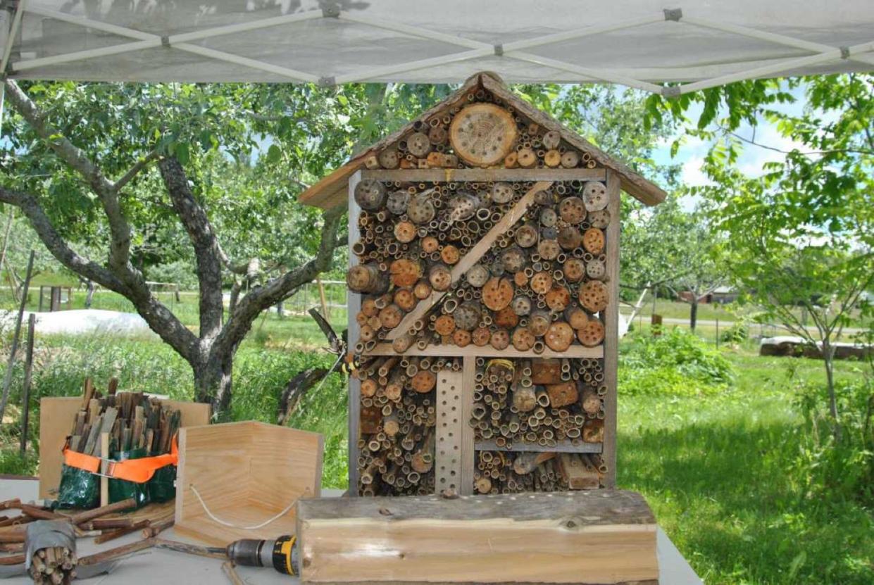 An example of a Bee Hotel, a habitat for pollinators, is pictured in this undated photo.