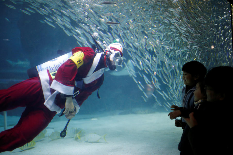 A diver dressed in a Santa Claus costume swims with sardines