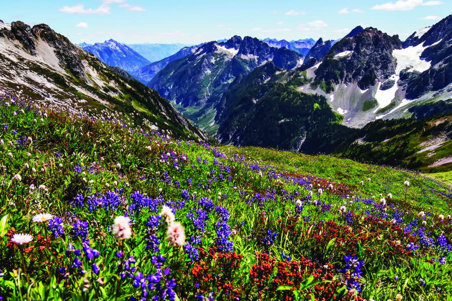 North Cascades National Park in Washington. (VisitSeattle.org)