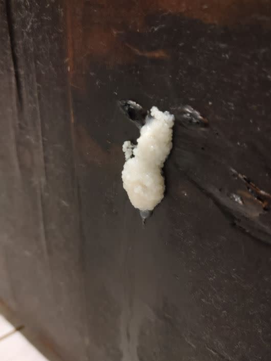 原Po家浴室門出現「白色卵狀物」。（圖／翻攝自「爆系知識家」）