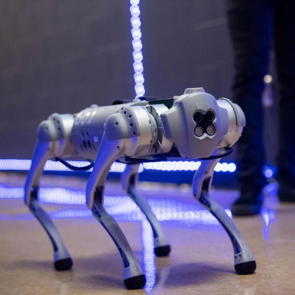 Blue, an AI robotic dog, is a mascot for the Global SMART Technology Innovation Center, Tennessee State University, at the Avon Williams Campus in Nashville.