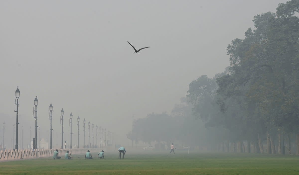 ASI-GEN INDIA-CONTAMINACIÓN (AP)