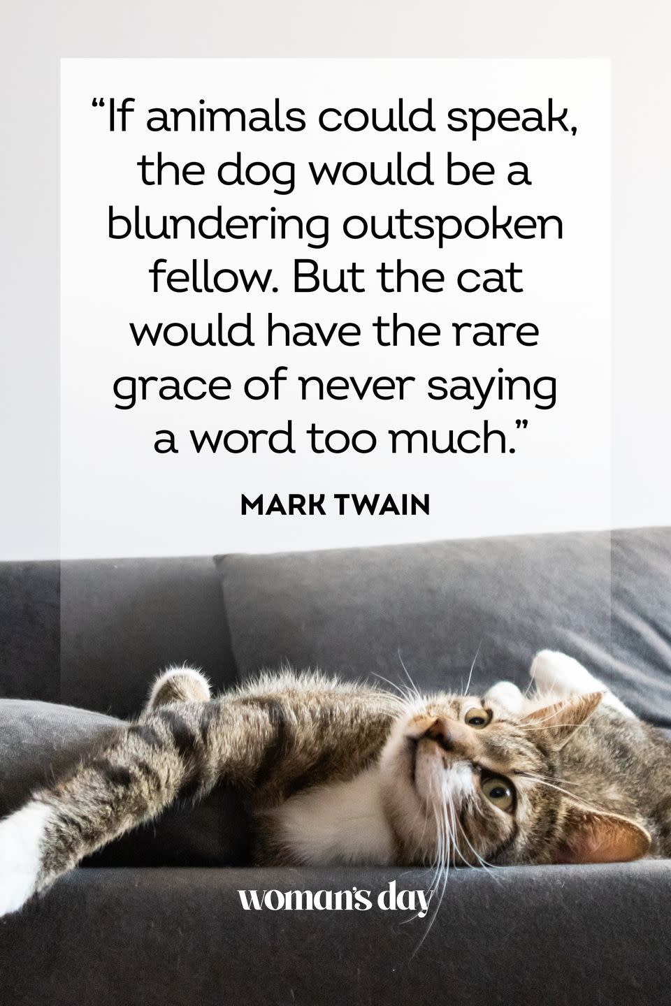 45 Adorable Cat Quotes That Will Melt Your Heart