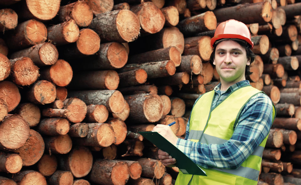 A man standing with a notebook in front of a pile of felled trees