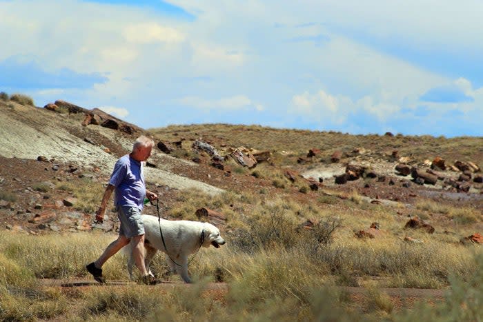 Dog and Dad at Crystal Forest in Petrified Forest National Park